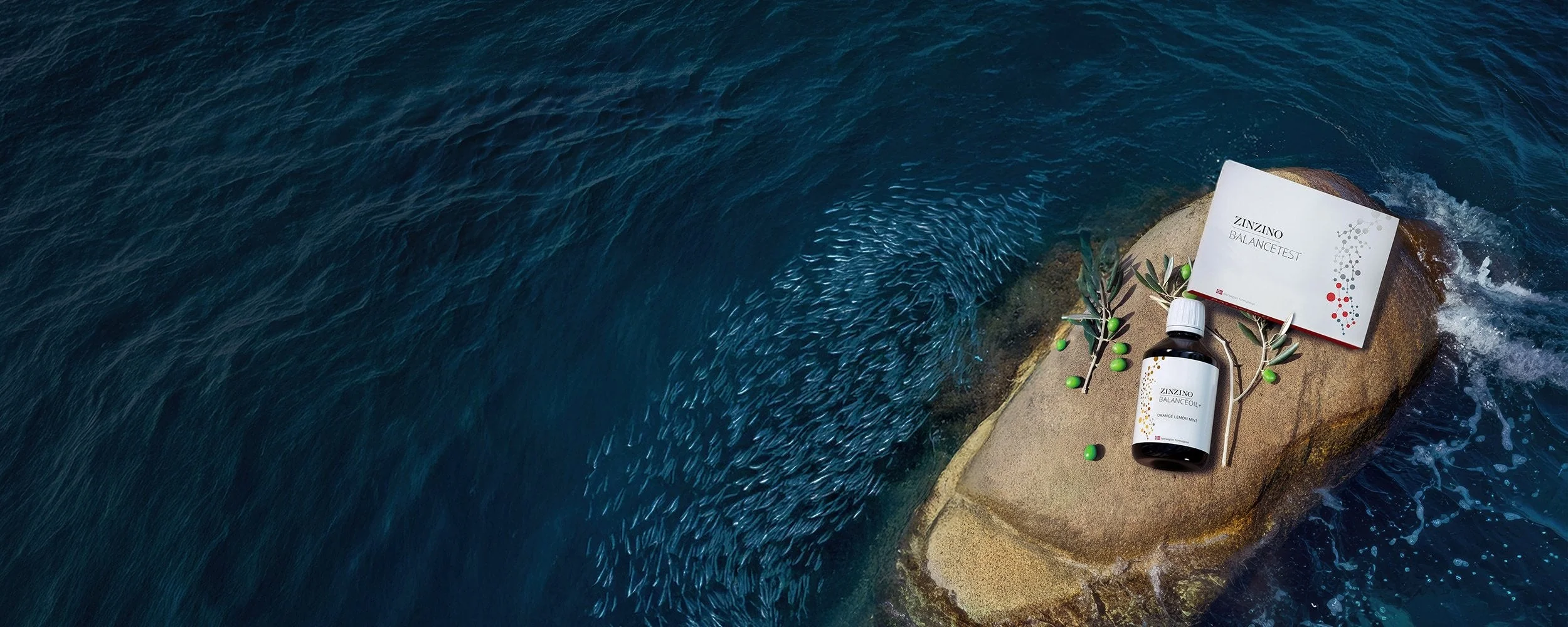 Zinzino Health Protocol